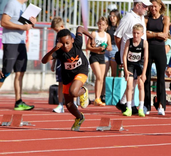 Bild 24.08.24 um 18.30